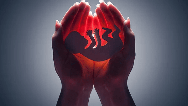 چه مدت بعد از سقط جنین میتوان باردار شد؟