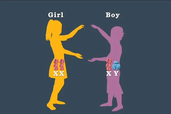 تعیین جنسیت جنین