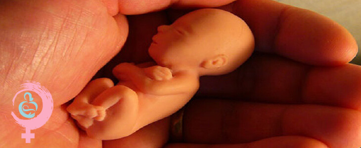 عفونت‌های مؤثر در سقط جنین